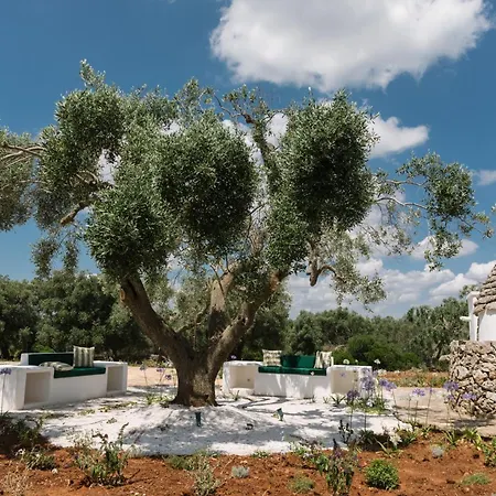 Trullo San Michele By Damastay Apartment